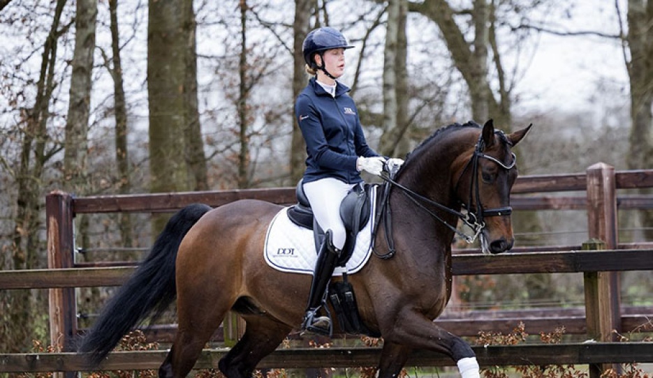 Next Romance (by For Romance x Havel)