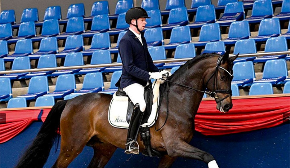 Besandro Gold (by Best of Gold x Sandro Hit)