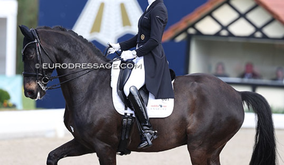 Diamante Negro won the Louisdor Cup Qualifier in Hagen last year :: Photo © Astrid Appels