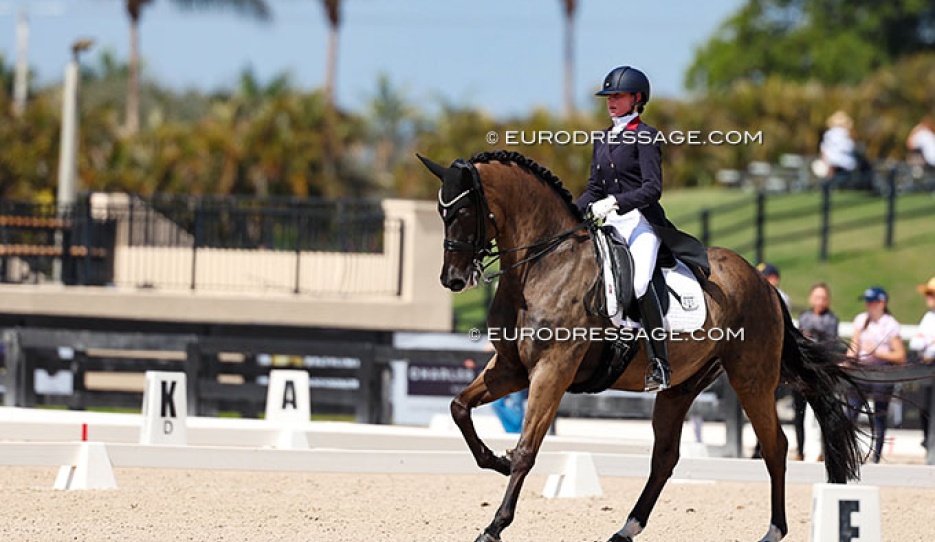 Sarah Daehnert on the fabulous Indiana Jones in the national dressage ring :: Photo © Astrid Appels