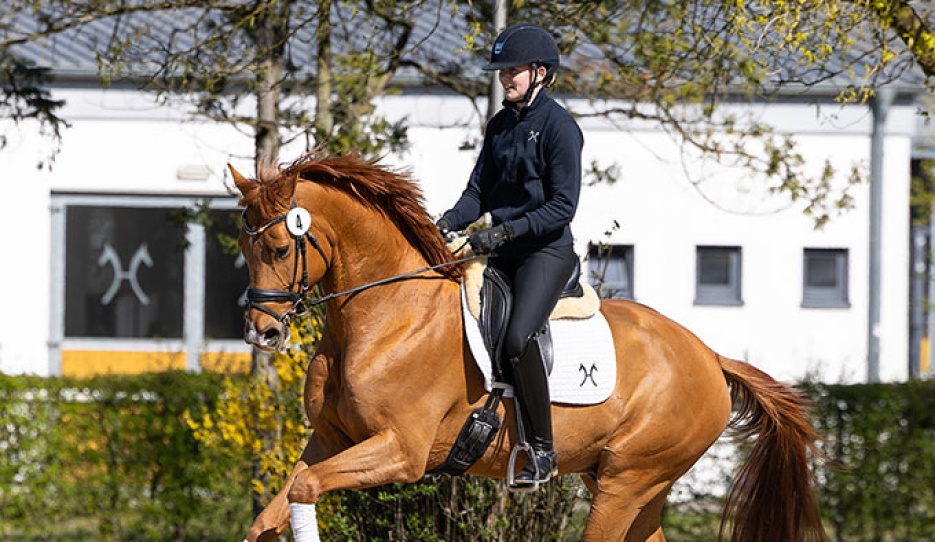 Sony (by Secret x Quaterback)