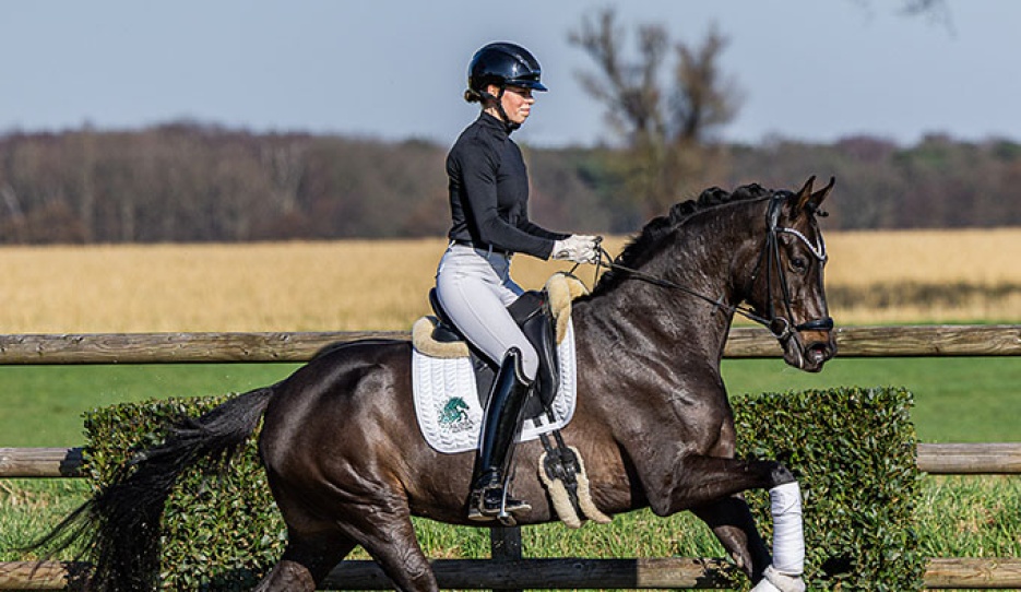 Euphoria (by Escolar x Furst Fugger)