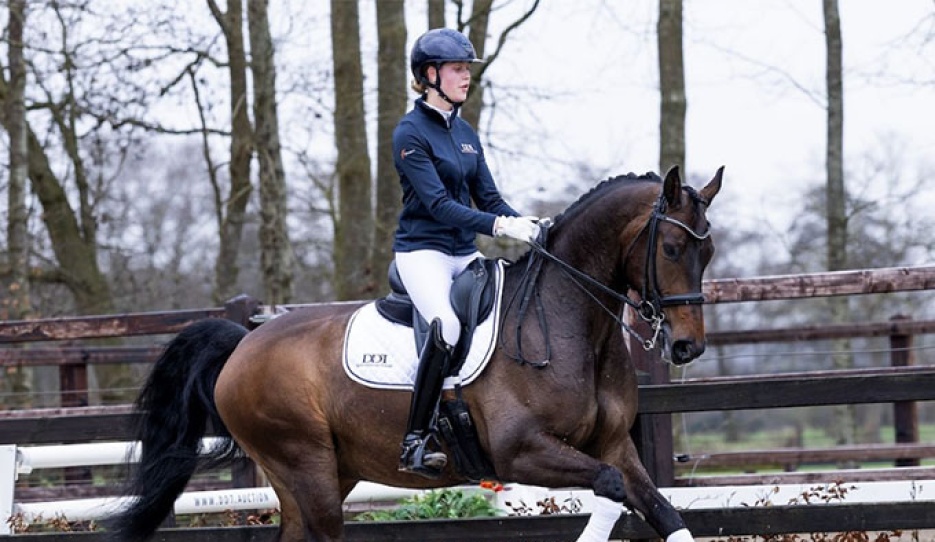 Next Romance (by For Romance x Havel)