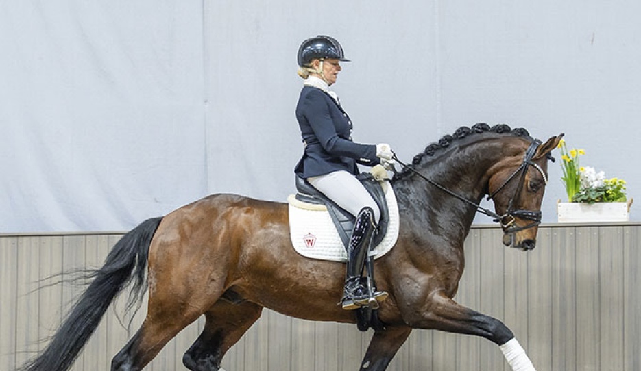 Bentheim (by Belvedere x Rock Forever) :: Photo © Recki