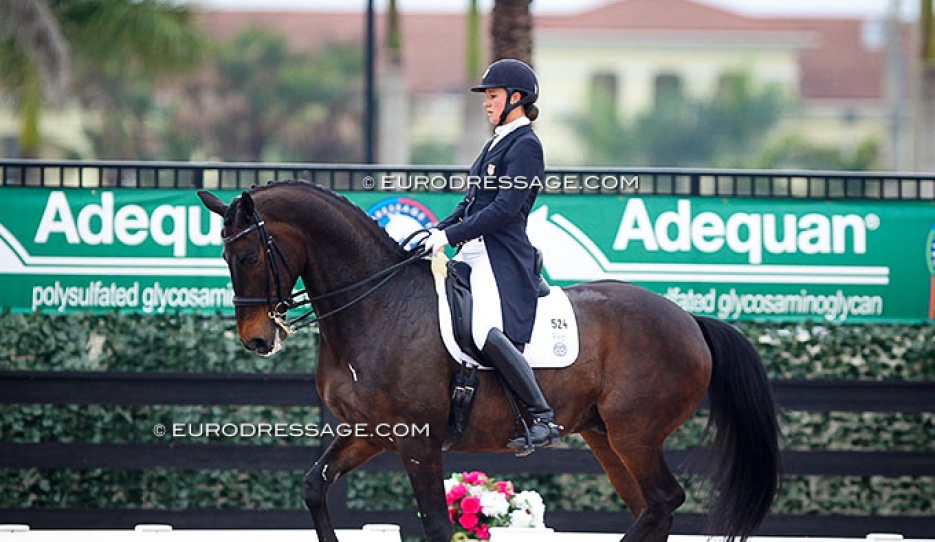 Adrienne Lyle and Wizard at the 2014 CDI Wellington :: Photo © Astrid Appels