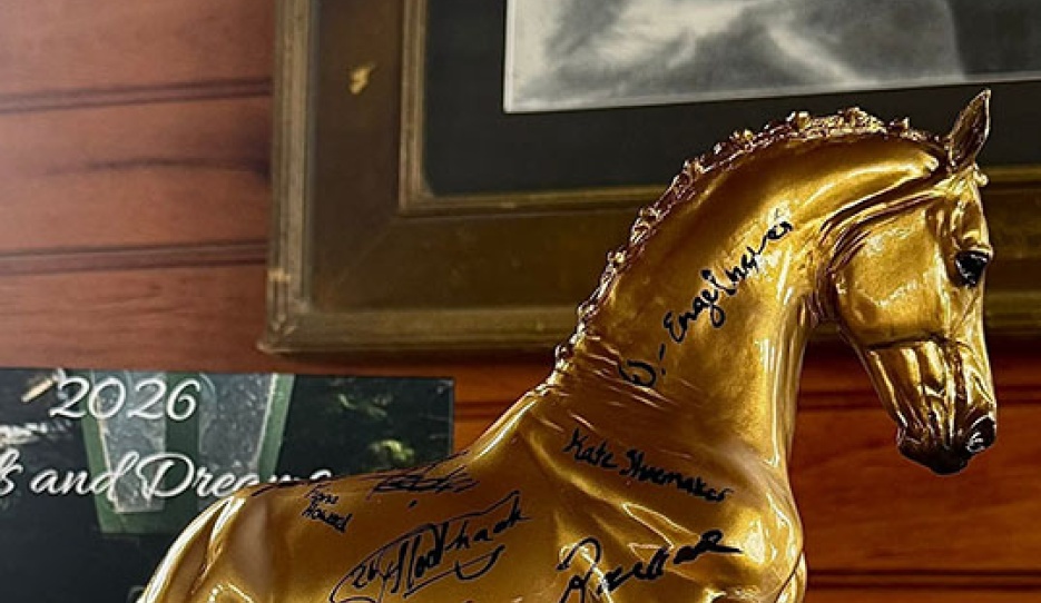 Valegro Breyer Model signed by 19 prolific equestrians to raise funds for brain cancer research at Duke University
