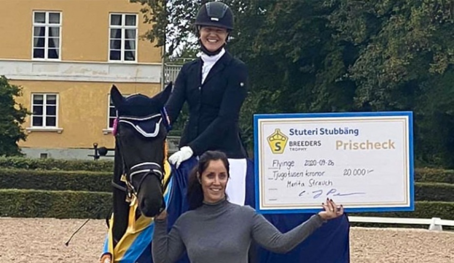 Swedish Warmblood 3-year old Champion of 2020: Camilla Axelsson with Marita Strauch's mare Bergsjoholms Barletta (by For Romance II x Epson)