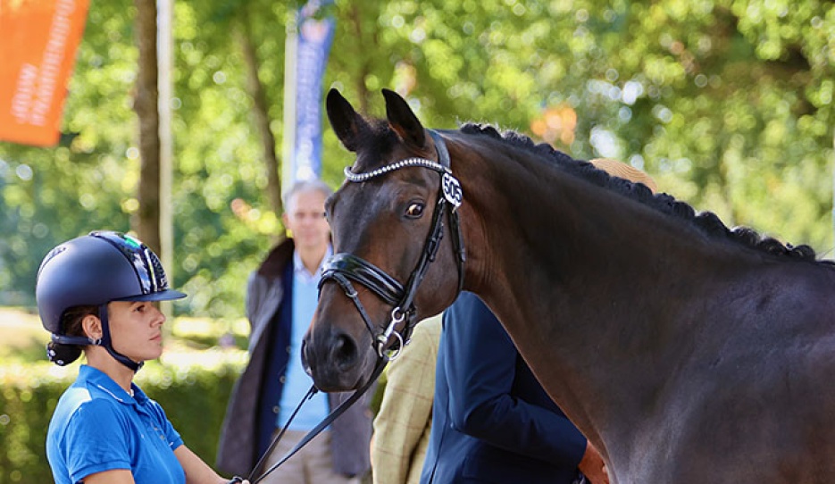 Federica Sileoni and Leonardo at the 2025 European Para Dressage Championships in Ermelo :: Photo © Silke Rottermann