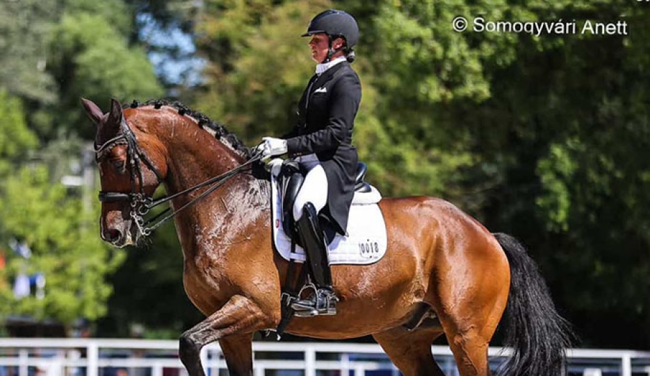 Pavlina Révész and Jiodinus PP at the 2026 CDI-W Pilisjaszfalu :: Photo © Anett Somogyvari 