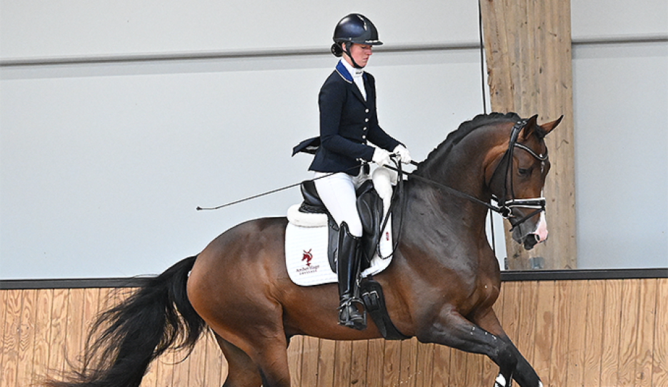 Lord Siffredi :: Photo © Wilma