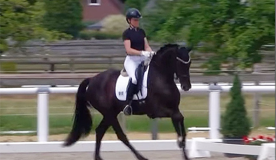 Busch-Kuffner on St; Anima at the second German WCYH selection trial