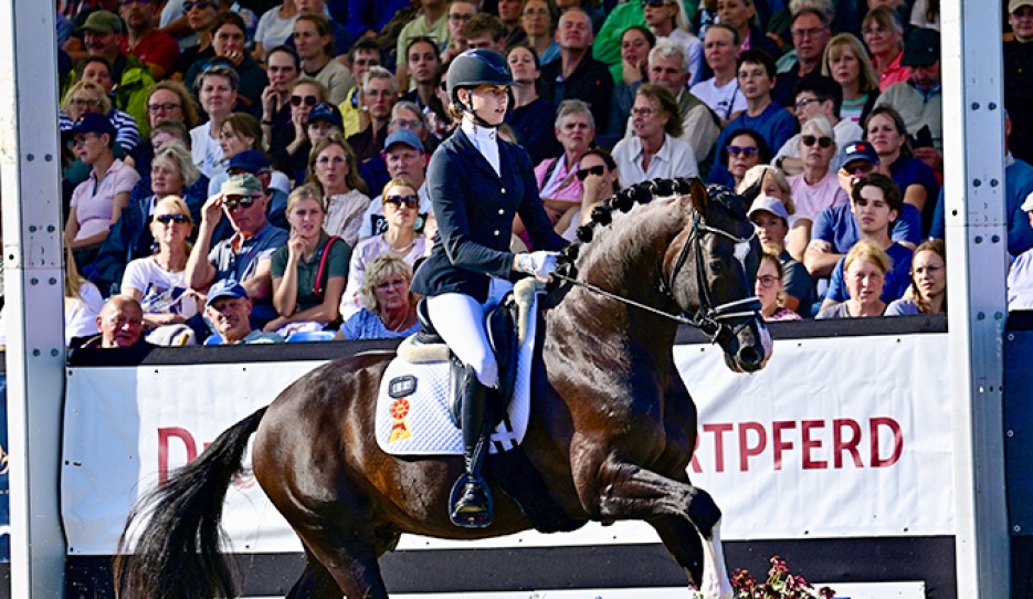 Be My Guest at the 2026 Bundeschampionate :: Photo © Equitaris