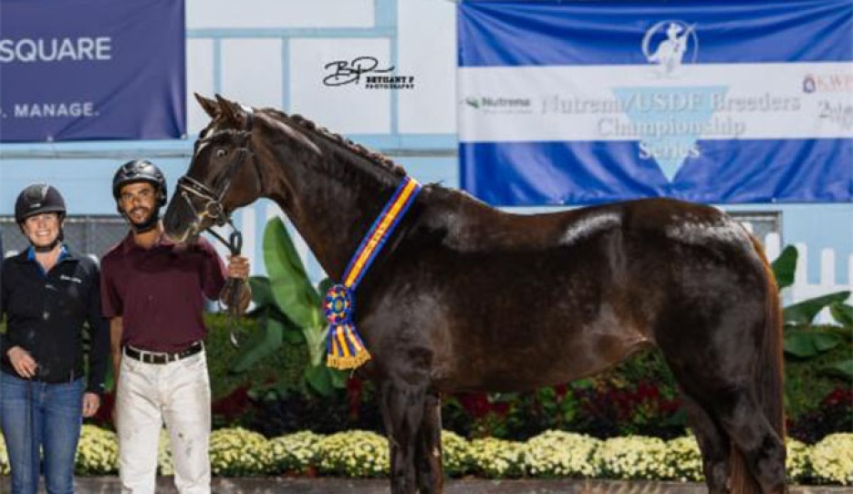 Lovely Leni, 2026 Dressage at Devon Grand Champion :: Photo © Bethany P
