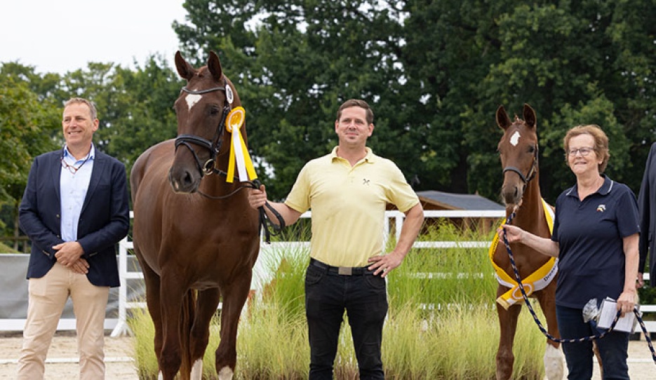Winner of the Dressage-Oriented Filly Class: Filly by Von Und Zu/For Romance with Johannes Westendarp, Friederike Peters, Jan Crome-Sperling,