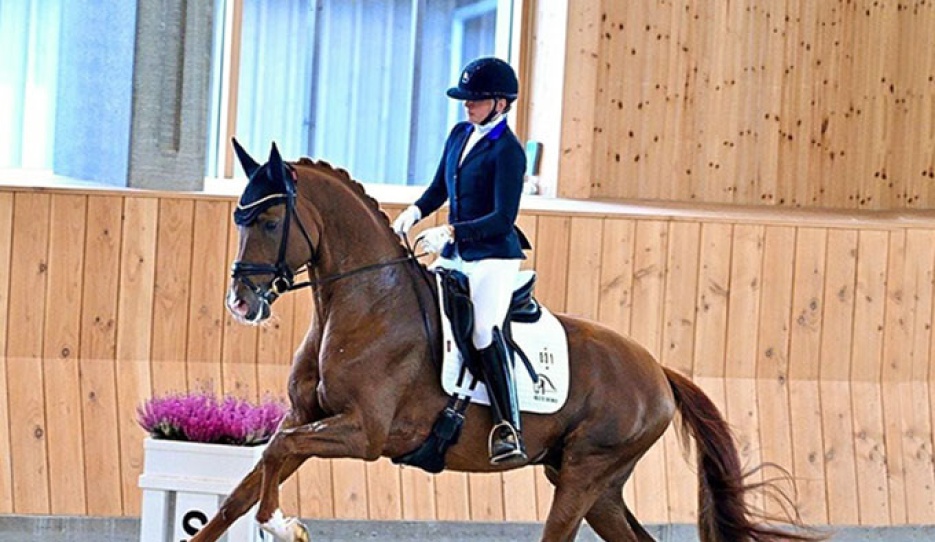 Viva Vegas Wins the 2024 Danish Young Horse Championships :: Photo (c) Ridehesten