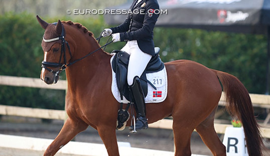 Mira Antonsen Hjelle and Filur af Groenagergaard at the 2022 CDI Sint-Truiden :: Photo © Astrid Appels