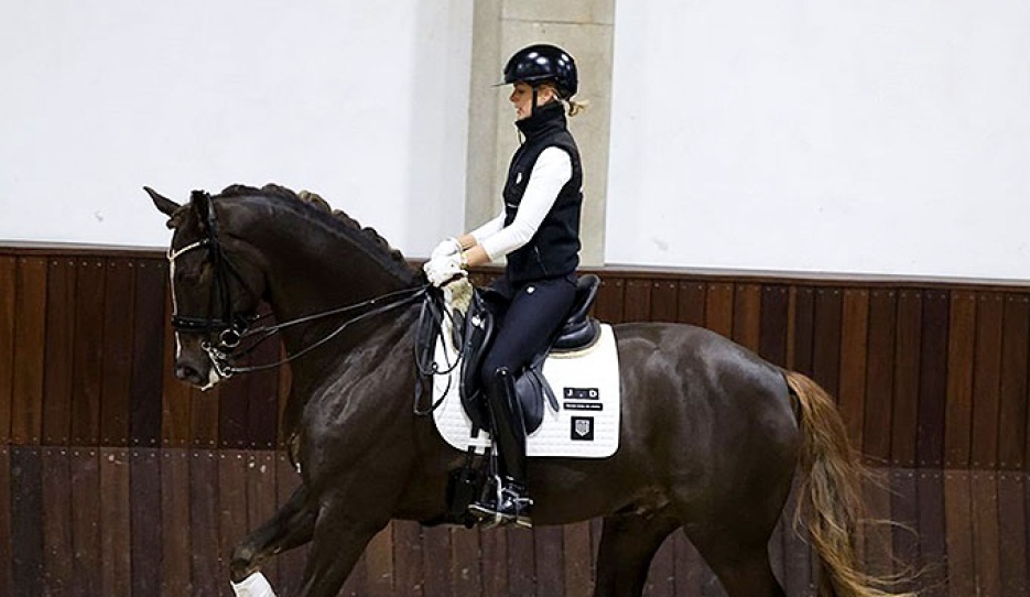 Janni Dietz on Grand Quest-Bell in a clinic at Slangerupgaard  :: Photo © Ridehesten
