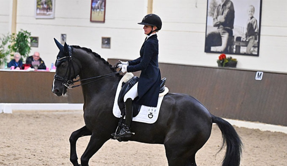 Mia Allegra Lohe and Luxor van de Vrendt at the 2026 CDN Ankum :: Photo © Dirk Ruchel