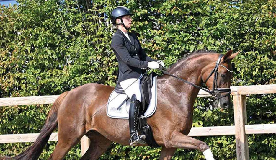 Baileys Krack van het Klaverhof (by Bonds x Romanov x Krack C) :: Photo © OLD Art