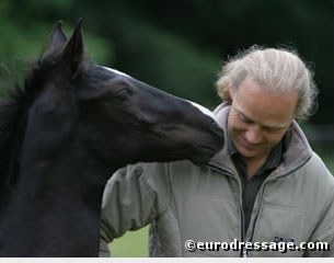 Thomas Bach Jensen with a Stedinger foal