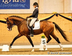 Minna Telde and Isac at the 2009 Swedish young horse championships in Flyinge