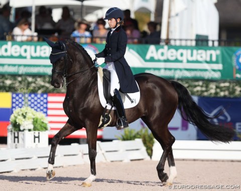 Chase Hickok on the 19-year old Dutch warmblood Sagacious (by Welt Hit II)