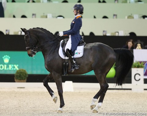 Katja Gevers and the 18-year old Thriller (by Gribaldi x Amor) competed for the eighth time in Den Bosch this year. They first showed at "Indoor Brabant" in the national fourth (M-) level classes and now in the World Cup Grand Prix division