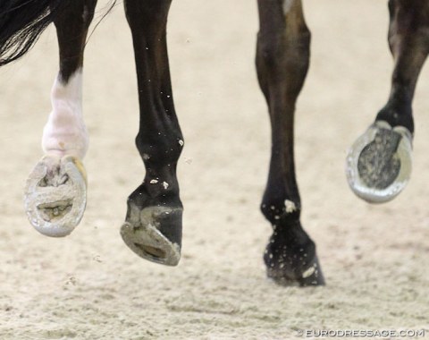 A custom shoeing job