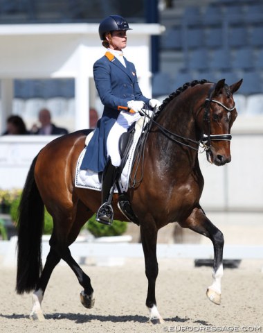 Adelinde Cornelissen on her home bred Zephyr. The athletic bay executes beautiful half passes and tempi changes, but was very restless with his tongue and dislikes the piaffe in which he crosses in front. The Jazz offspring was very spooky in the arena which was quite a challenge for his rider