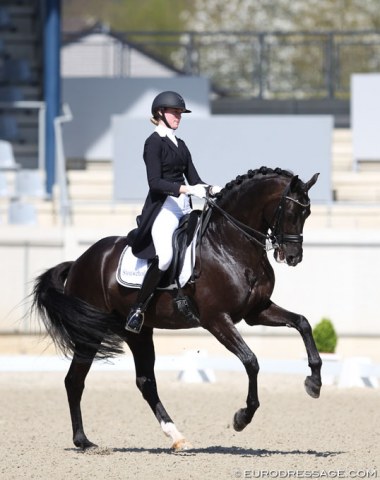 Former Under 25 rider Denise Nekeman has made the transition to the senior division on Boston. The black stallion is a pocket rocket with lots of engagement, but could be more up in the poll and the canter work was ridden hastily