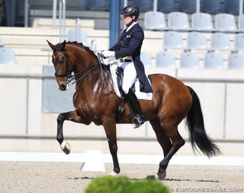 Henri Ruoste on the 13-year old Hanoverian Roccabar