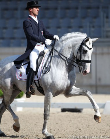 Sascha Schulz on Dragao. This Lusitano stallion, who is approved for Oldenburg breeding, has an outstanding piaffe and good overtrack in the extended walk (despite a not so clear rhythm). Today Dragao was inconsistent in the bridle contact, not truly stretching into the contact