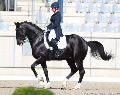 Andrea Timpe and her experienced, 15-year old Oldenburg gelding Don Darwin (by Don Schufro x Warkant)