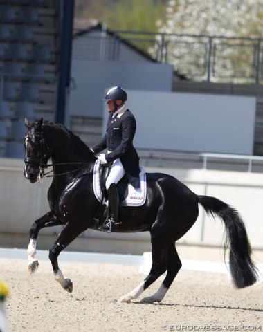 Like father, like son. Diederik van Silfhout's 63-year old father Alex did his last show in 2012 before returning to the ring in December 2017 with this horse, the Ruppert family's Zep (by OO Seven x Ferro). 