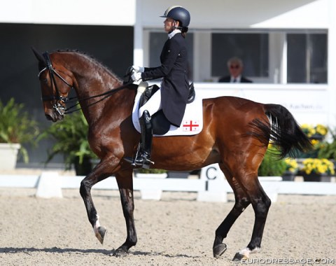 Joanne Vaughan on the 19-year old Danish warmblood Elmegardens Marquis. This bay gelding began his CDI GP career under Emile Faurie in 2010. They won team gold at the 2011 European Championships in Rotterdam. In 2013 Vaughan took him on as her GP schoolmaster and they have been going ever since. Marquis is now in his 9th year at international GP level, his 6th under Vaughan.