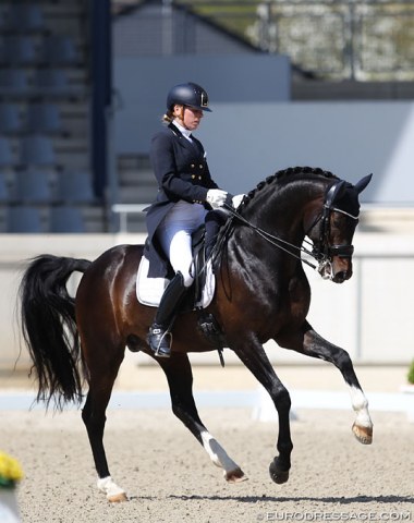 Katrien Verreet on the Belgian bred Oldenburg licensed stallion Bailamos Biolley (by Sir Donnerhall x Florestan). The stallion stood one season up for stud at Gestut Sprehe when he was a youngster. Now 11 years old, this is the horse's CDI Grand Prix debut. The bay showed promise but needs to be more up in the frame and on the hindleg.