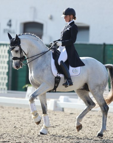 Katrien Verreet on the Belgian warmblood stallion Galliani Biolley (by Sir Donnerhall x Lanciano)