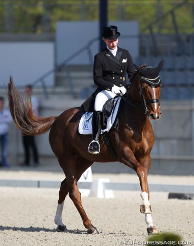 Nicole Wego on Nathalie zu Sayn-Wittgenstein's Whitley (by Don Schufro x Lauries Crusador xx)