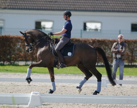 Israeli Eyal Zlatin schooling Ralph Uwe Westhoff's Bonzanjo. The pair is coached by Wolfram Wittig