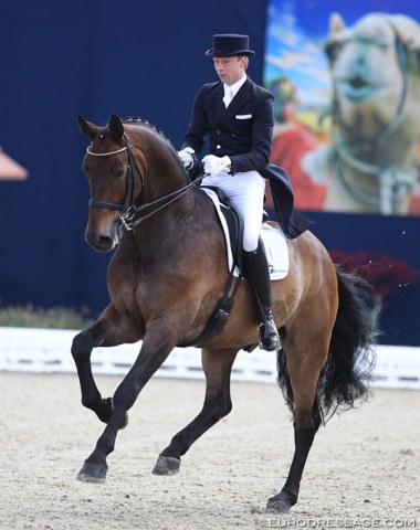 A solid round from Jan-Dirk Giesselmann on Real Dancer (by Rubin Royal)