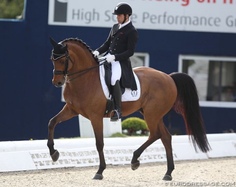 Severo Jurado Lopez on Irina Zakhrabekova's Sir Schiwago (by Sir Donnerhall x Lanciano). The bay was previously ridden by Ingrid Klimke and Jose Antonia Garcia Mena. The horse was resistant in several movements in the Grand Prix and Severo retired at the end of the test