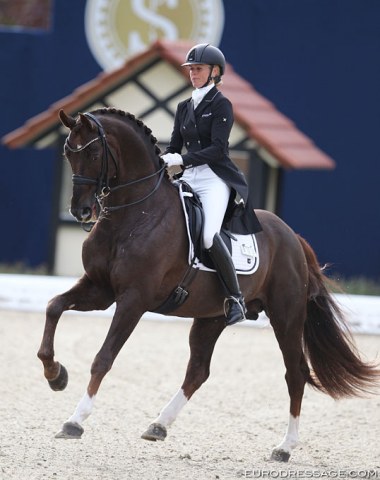 Lotte Skjaerbaek and Skovens Rafael. Lovely liver chestnut stallion, but his mouth was unfortunately gaping throughout the test.