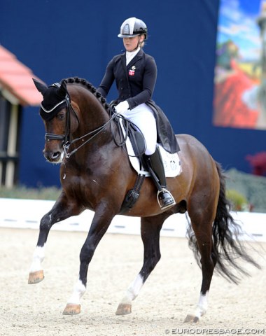 Anna Zibrandtsen and Arlando. The cute bay stallion is super electric and expressive, but his ability to stretch in the body over the topline needs to improve