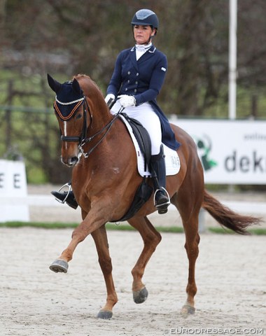 Danielle Heijkoop on Daula at the 2018 CDI Nieuw en St. Joosland