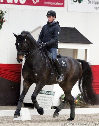 Carl Hester brought along Hawtins Delicato but decided not to compete