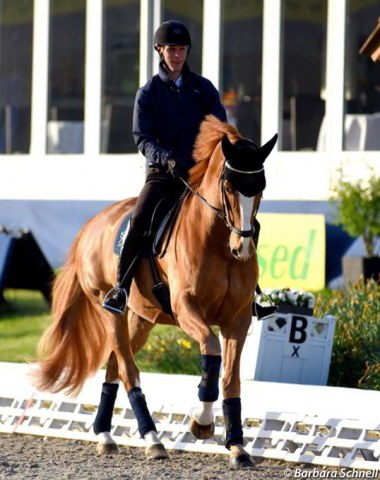 Daniel Bachmann Andersen schooling Blue Hors Zepter