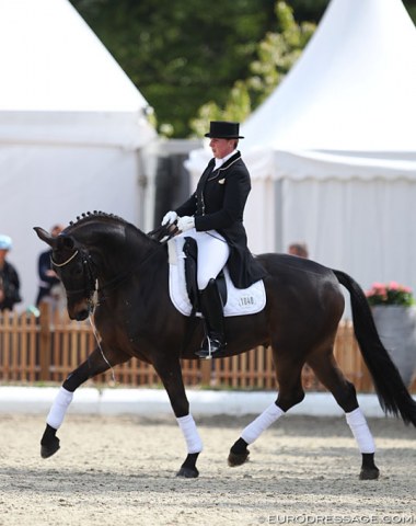 Zina Facklam warming up the gorgeous Duke Royal (by Don Frederico x Rubin Royal)