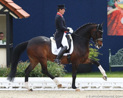 Emile Faurie on Quentano