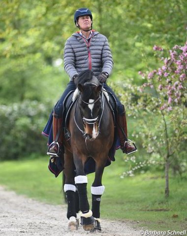 Emile Faurie and Quentano heading to the training ring