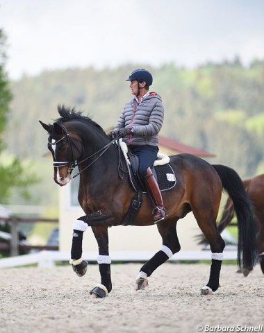 Emile Faurie on Quentano